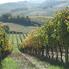 Photo of Florença Excursão turística de um dia pela Toscana Great views of Tuscany