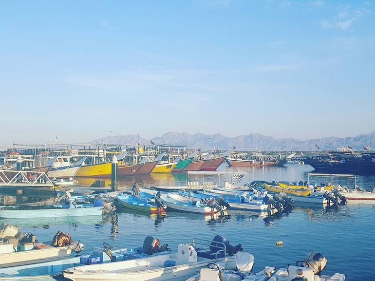 Musandam Day Trip From Dubai photo 4