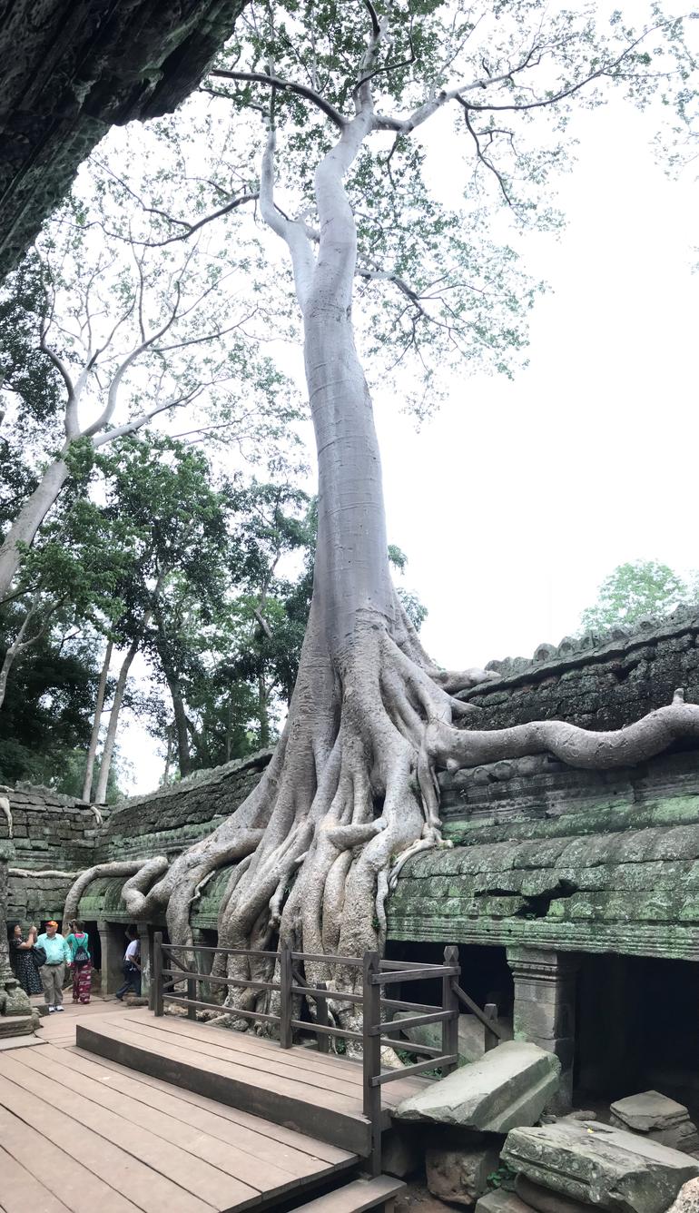 Private Tour Angkor Wat 3 Days - Banteay Srey (37Km) - Beng Mealea (75Km)