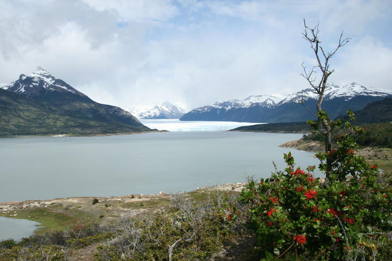 Full-Day Tour to the Perito Moreno Glacier including Boat Safari