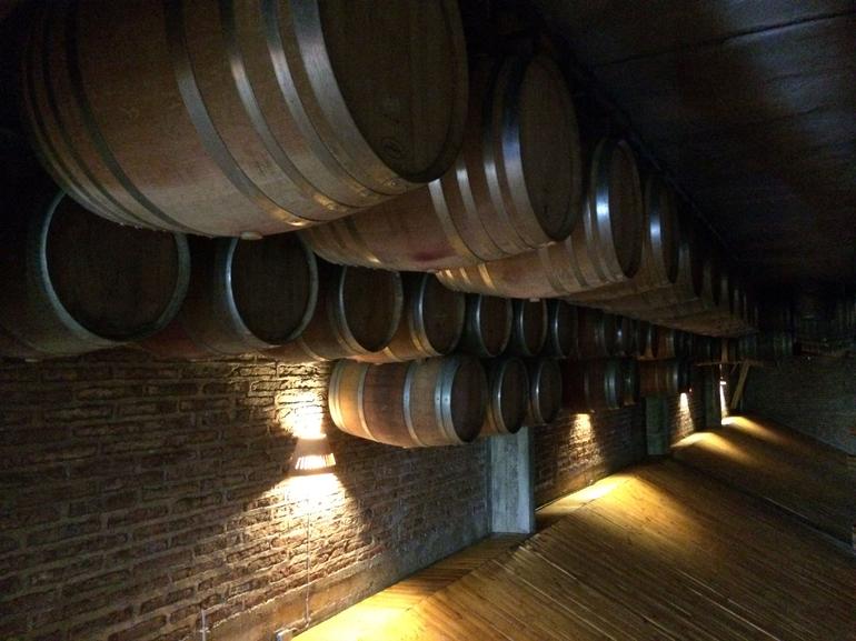 Full-Day Wine Tour from Santiago with Sommelier Guide