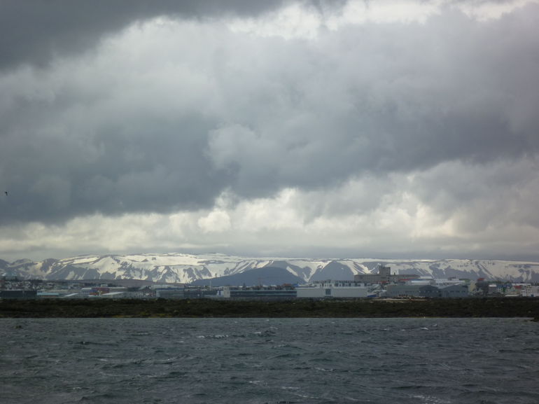 Puffin Express Cruise from Reykjavik