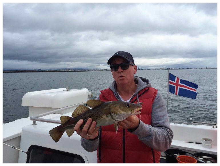 Sea Fishing Experience from Reykjavik