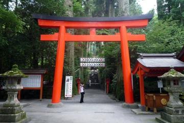 Hakone Sightseeing Tours