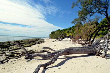 Lady Musgrave Island, Queensland