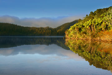 Lake Tikitapu (Blue Lake), Rotorua