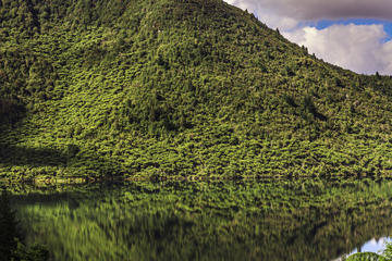 Lake Rotokakahi (Green Lake), Rotorua