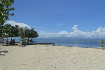 Pandanon Island, Cebu