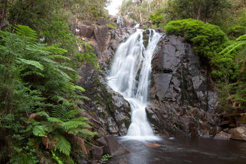 Steavenson Falls, Victoria