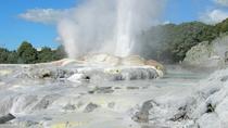 Privat heldagstur til Rotorua fra Auckland Privat heldagstur til Rotorua fra Auckland
