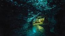 Privat tur: Dagstur til Waitomo Caves fra Auckland Privat tur: Dagstur til Waitomo Caves fra Auckland