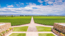 Excursão vinícola particular por Lujan De Cuyo, partindo de Mendoza, Mendoza