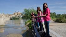 Cordoba Segway 2 hours Sightseeing Tour Cordoba Segway 2 hours Sightseeing Tour