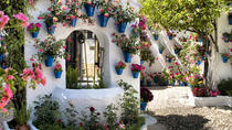 Cordoba Tour During Patios Festival Cordoba Tour During Patios Festival