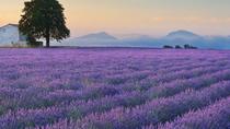 Verdon Gorge, privat tur Verdon Gorge, privat tur