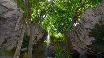 Pirate Rum Factory and Taino Cave-tour vanuit Punta Cana Pirate Rum Factory and Taino Cave-tour vanuit Punta Cana