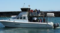 Big 5 Sea Safari in Walker Bay von Gansbaai Big 5 Sea Safari in Walker Bay von Gansbaai