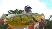 Todo o dia Miami Peacock Bass Fishing Trip, Miami