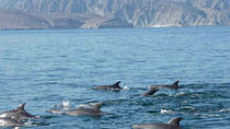 Tagestour Musandam und Khasab/Oman im Dhowa-Boot und Delfinbeobachtung Tagestour Musandam und Khasab/Oman im Dhowa-Boot und Delfinbeobachtung