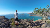 Exploración de la Isla Espíritu Santo con leones marinos, buceo de superficie y kayak Exploración de la Isla Espíritu Santo con leones marinos, buceo de superficie y kayak
