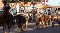Halbtägige geführte historische Tour: Best of Fort Worth Halbtägige geführte historische Tour: Best of Fort Worth