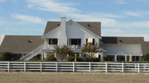 Tour in kleiner Gruppe: Southfork Ranch und die Dallas-Serie Tour in kleiner Gruppe: Southfork Ranch und die Dallas-Serie