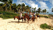 Paardrij-avontuur door Punta Cana Paardrij-avontuur door Punta Cana