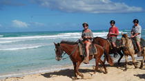Promenade à cheval de deux heures à Punta Cana Promenade à cheval de deux heures à Punta Cana