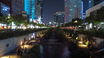 4時間の夜のソウル市内観光と屋台料理食べ歩きツアー 4時間の夜のソウル市内観光と屋台料理食べ歩きツアー