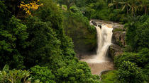 Bali-Tour zum Tegenungan-Wasserfall, Tempel und Affenwald Bali-Tour zum Tegenungan-Wasserfall, Tempel und Affenwald