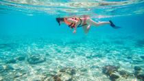 Visita privada: Crucero de buceo en Es Vedra desde Ibiza Visita privada: Crucero de buceo en Es Vedra desde Ibiza
