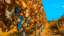 Excursão de 7 dias com o melhor de Mendoza e Buenos Aires: Cultura, vinho e comida, Buenos Aires