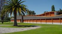 Tour vinícola de Viña Almaviva Tour vinícola de Viña Almaviva
