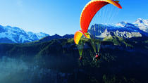 Experiencia en parapente en tándem desde Interlaken Experiencia en parapente en tándem desde Interlaken
