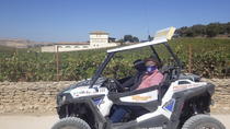 Ronda Gorge and Wine County Adventure by Buggy Ronda Gorge and Wine County Adventure by Buggy