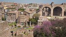 Visite privée : le Mont Palatin de Rome, incluant la Domus Augustana Visite privée : le Mont Palatin de Rome, incluant la Domus Augustana
