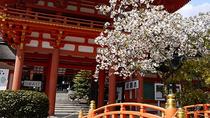 Saisonale Tour: Kyoto Kirschblüten-Tour mit dem Bus Saisonale Tour: Kyoto Kirschblüten-Tour mit dem Bus