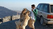 Jebel Shams Tagesausflug (Muscat Tours): Oman Landausflüge Jebel Shams Tagesausflug (Muscat Tours): Oman Landausflüge