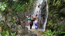 Heldagstur i liten grupp till El Yunque-regnskogen från San Juan Heldagstur i liten grupp till El Yunque-regnskogen från San Juan