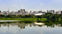 Excursão particular: City tour em São Paulo, São Paulo
