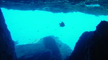 Dykning ved Similan, heldagstur fra Phuket Dykning ved Similan, heldagstur fra Phuket