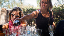 Degustação de vinho em Mendoza o dia inteiro, Mendoza