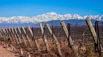 Excursão pela região vinícola de Lujan com almoço, saindo de Mendoza, Mendoza