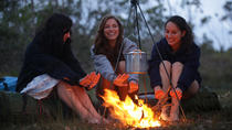 Sydney naar Cairns hop-on hop-off travel pass Sydney naar Cairns hop-on hop-off travel pass