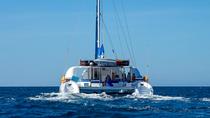 Crucero por las islas Galápagos: travesía de 4 días en el catamarán Nemo I Crucero por las islas Galápagos: travesía de 4 días en el catamarán Nemo I