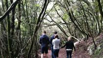 Wanderung im Anaga-Gebirge Wanderung im Anaga-Gebirge