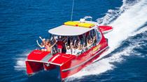 Whitehaven Beach en Hill Inlet Lookout hele dag snorkelcruise met snelle catamaran Whitehaven Beach en Hill Inlet Lookout hele dag snorkelcruise met snelle catamaran