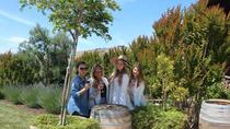 Excursión a las bodegas del Valle de Napa Excursión a las bodegas del Valle de Napa