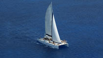 Croisière en catamaran d'une demi-journée à Punta Cana avec plongée au tuba Croisière en catamaran d'une demi-journée à Punta Cana avec plongée au tuba