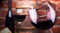 Excursão de dia inteiro do vinho Malbec em Mendoza, Buenos Aires